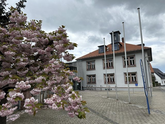 Rathaus in Blüte