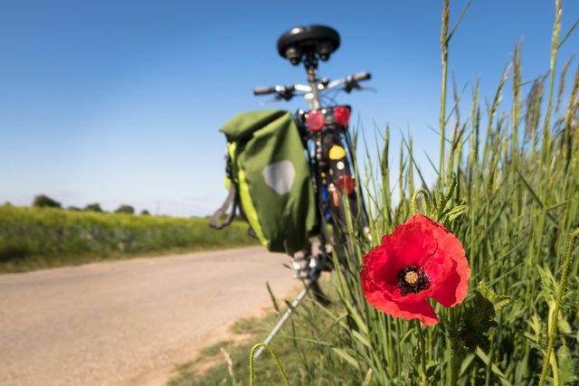 Fahrrad am Feldrand